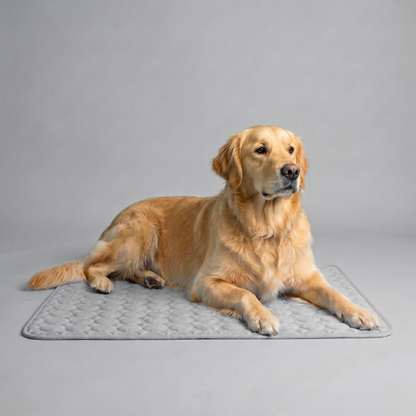 IcyNap | Tapis Rafraîchissant en Soie de Glace pour Chien