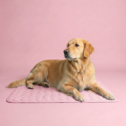 IcyNap | Tapis Rafraîchissant en Soie de Glace pour Chien