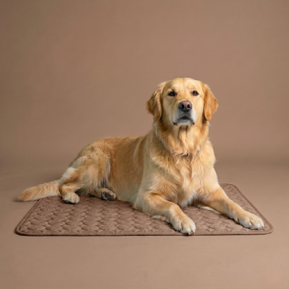 IcyNap | Tapis Rafraîchissant en Soie de Glace pour Chien