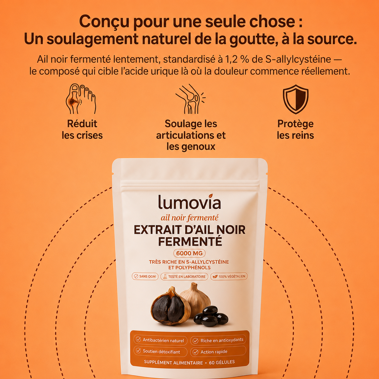 Lumovia: Fermented Black Garlic Restoration Protocol