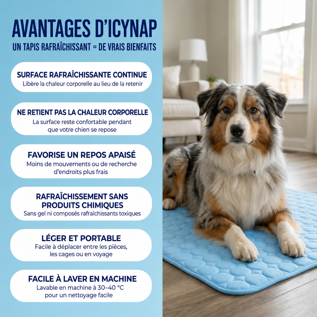 IcyNap | Tapis Rafraîchissant en Soie de Glace pour Chien