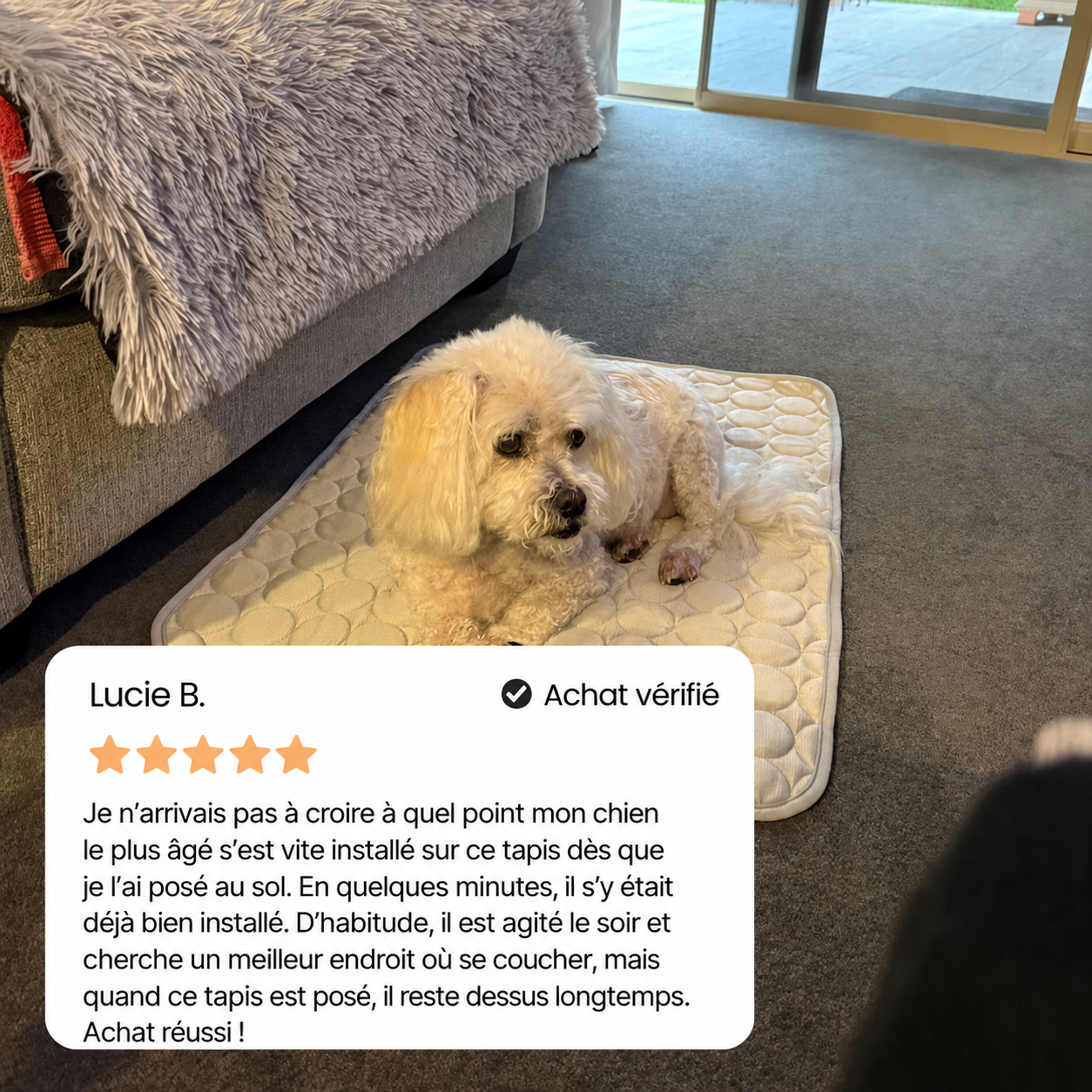 IcyNap | Tapis Rafraîchissant en Soie de Glace pour Chien
