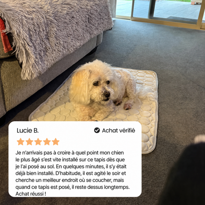 IcyNap | Tapis Rafraîchissant en Soie de Glace pour Chien