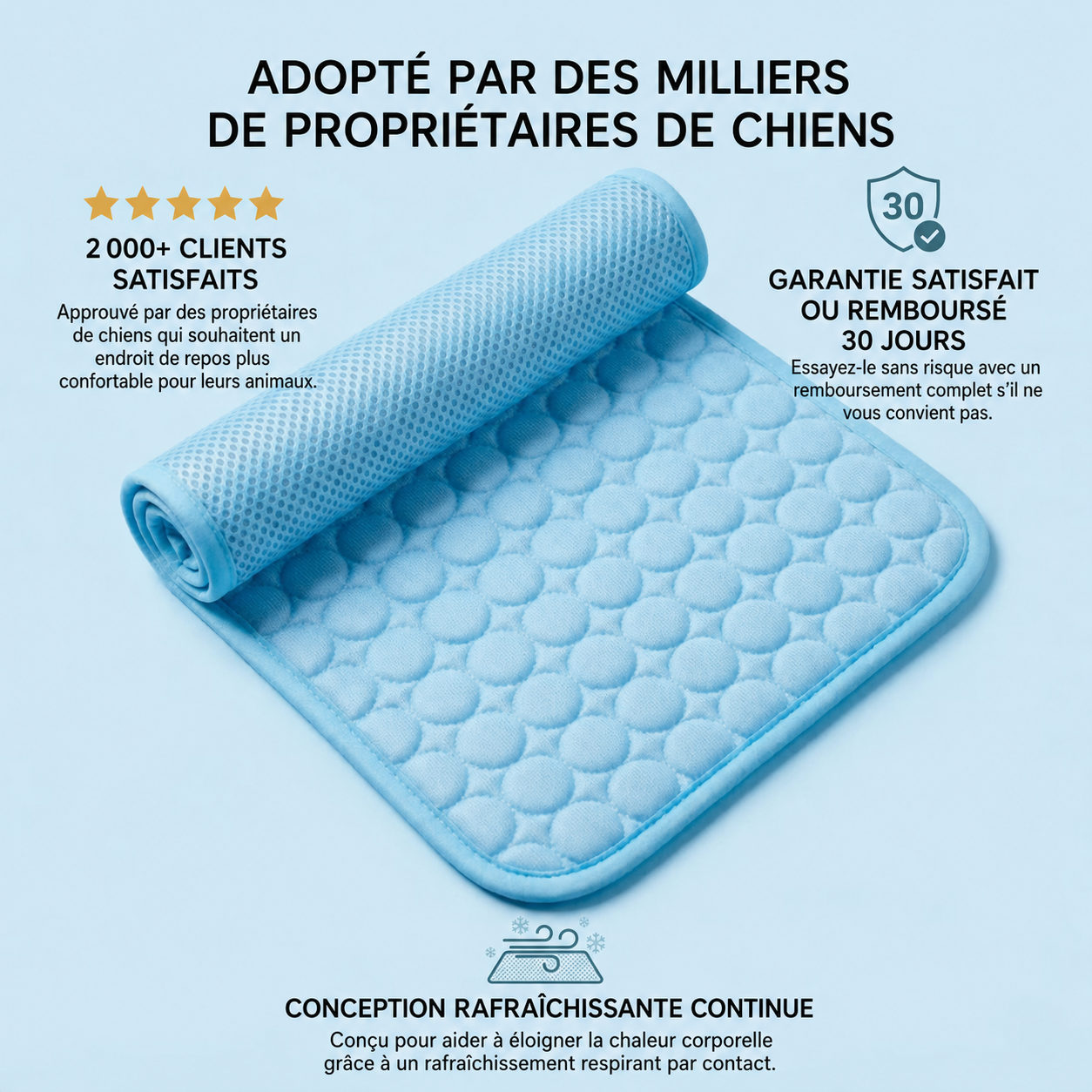 IcyNap | Tapis Rafraîchissant en Soie de Glace pour Chien