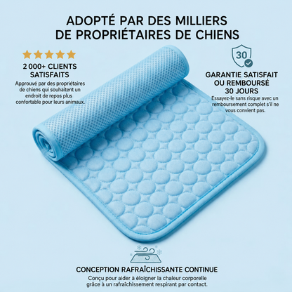 IcyNap | Tapis Rafraîchissant en Soie de Glace pour Chien