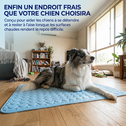 IcyNap | Tapis Rafraîchissant en Soie de Glace pour Chien