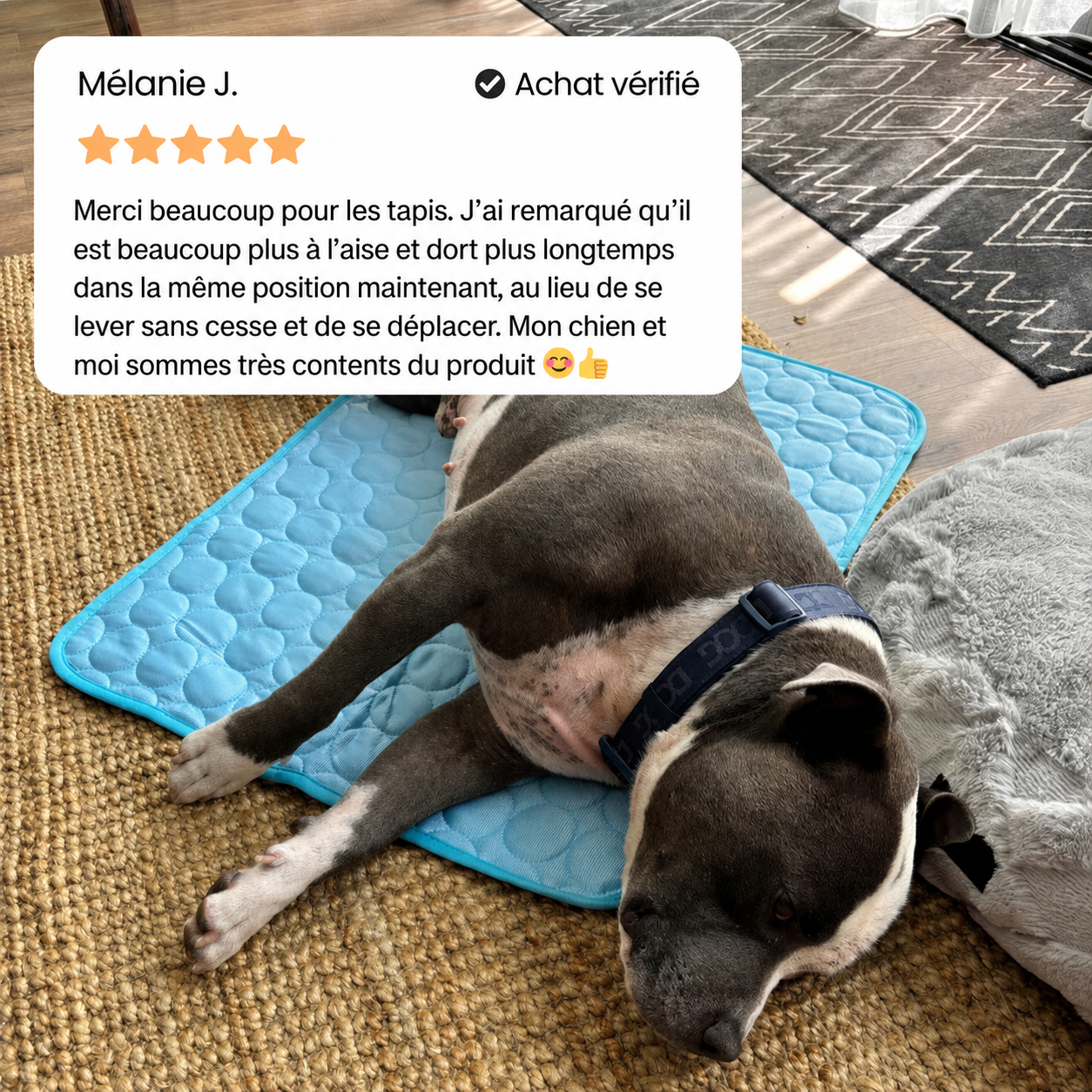 IcyNap | Tapis Rafraîchissant en Soie de Glace pour Chien