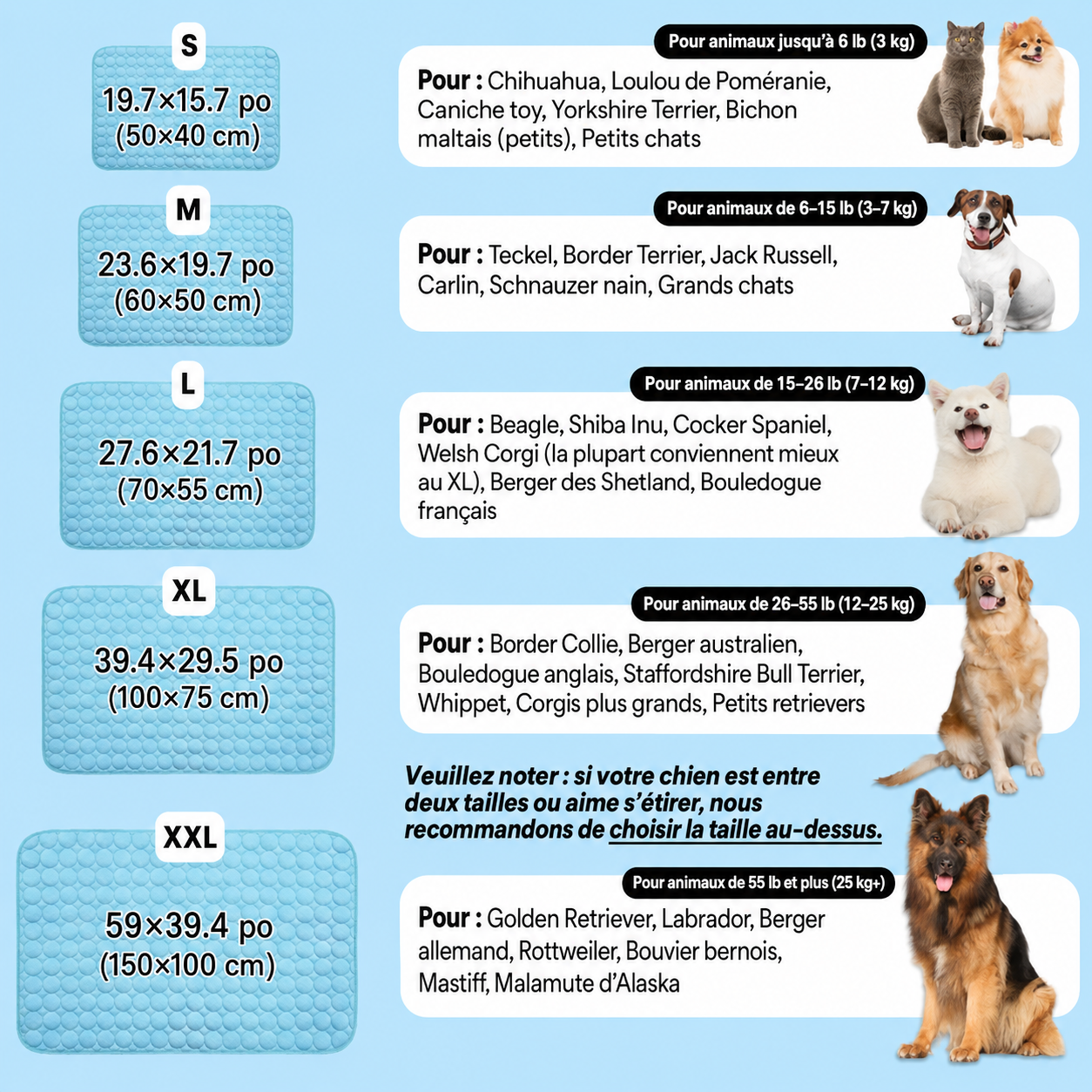 IcyNap | Tapis Rafraîchissant en Soie de Glace pour Chien