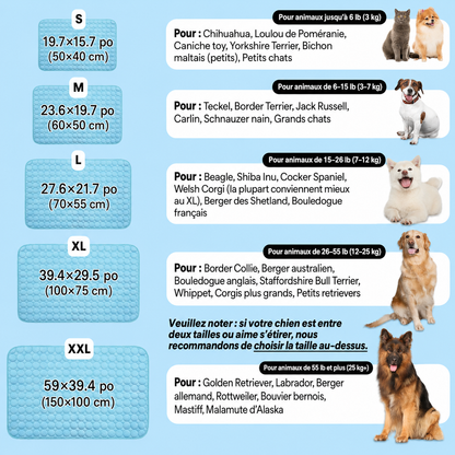 IcyNap | Tapis Rafraîchissant en Soie de Glace pour Chien
