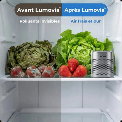 Lumovia purificateur d'air pour réfrigérateur